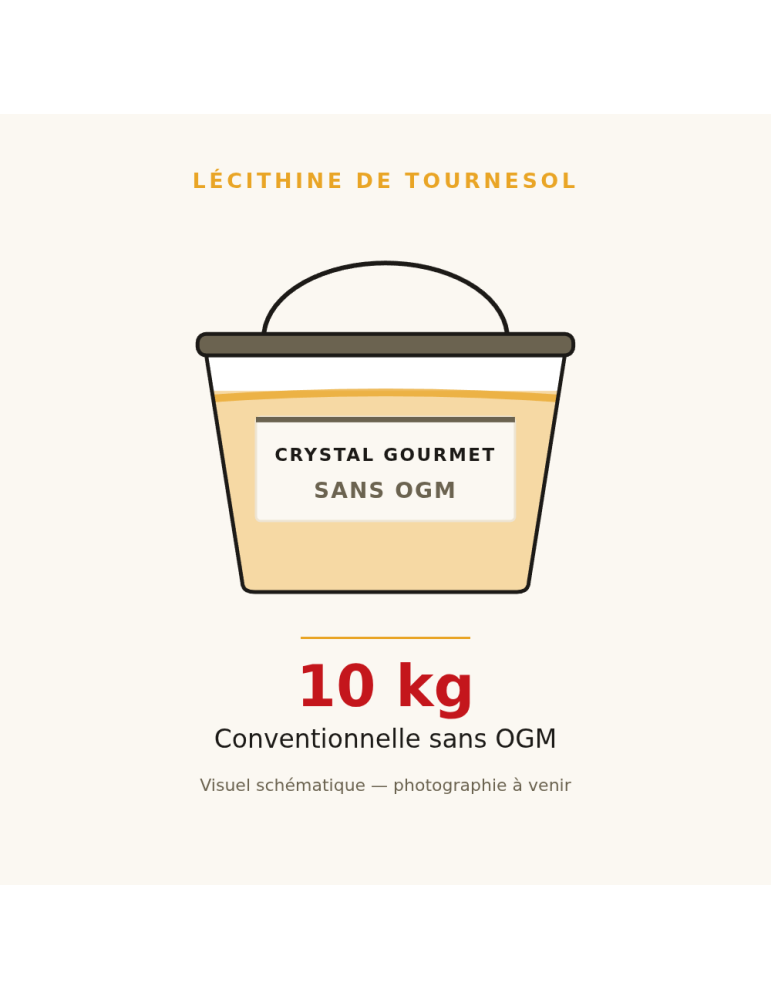 Lécithine de Tournesol Liquide Sans OGM 10 kg | Crystal Gourmet