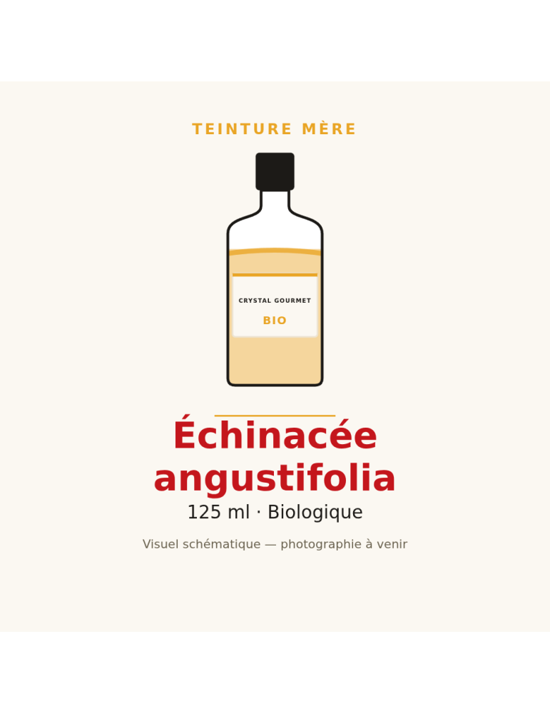 Teinture mère d'Échinacée angustifolia bio 125 ml