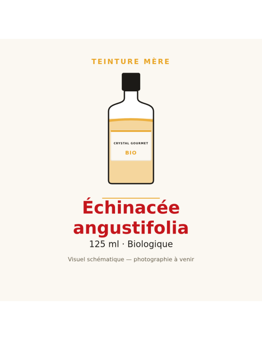 Teinture mère d'Échinacée angustifolia bio 125 ml