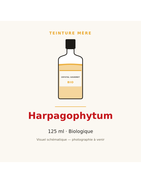 Teinture mère d'Harpagophytum bio 125 ml - Harpagophytum procumbens