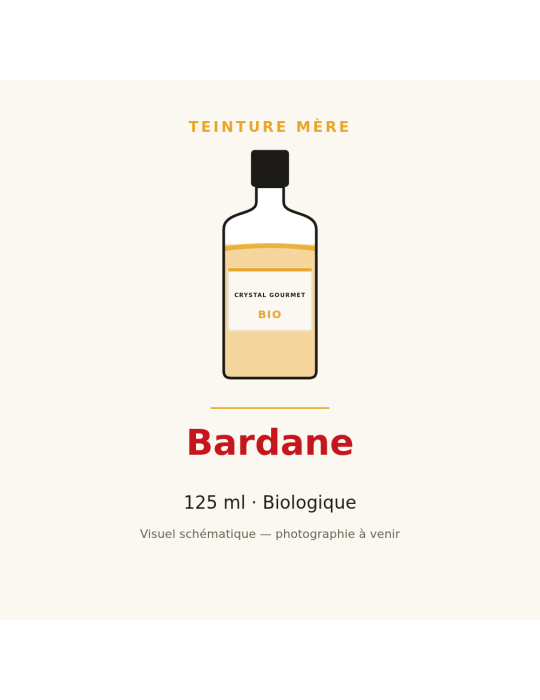 Teinture mère de Bardane bio 125 ml - Arctium lappa