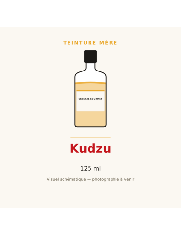 Teinture mère de Kudzu 125 ml - Pueraria montana var. lobata