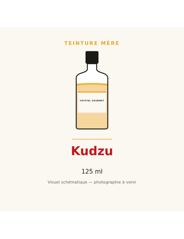 Teinture mère de Kudzu 125 ml - Pueraria montana var. lobata