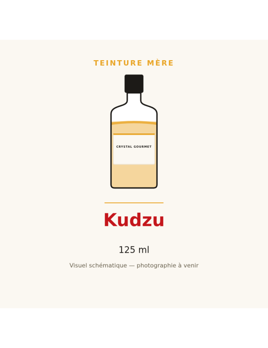 Teinture mère de Kudzu 125 ml - Pueraria montana var. lobata