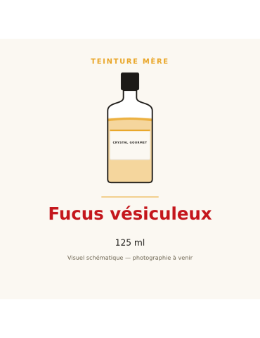 Teinture mère de Fucus vésiculeux - 125 ml