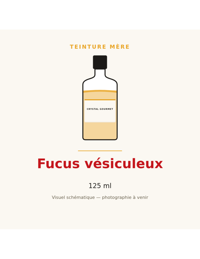 Teinture mère de Fucus vésiculeux - 125 ml