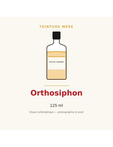 Teinture mère d'Orthosiphon 125 ml - Orthosiphon stamineus