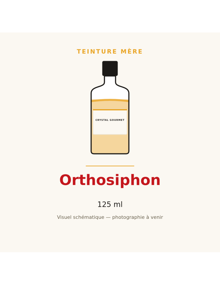 Teinture mère d'Orthosiphon 125 ml - Orthosiphon stamineus