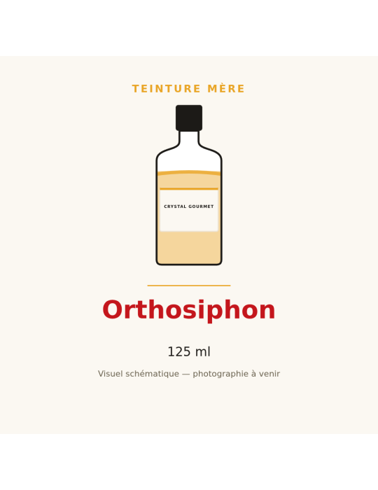 Teinture mère d'Orthosiphon 125 ml - Orthosiphon stamineus