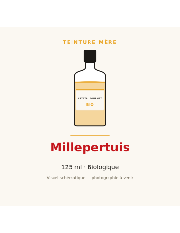 Teinture mère de Millepertuis bio 125 ml - Hypericum perforatum L.