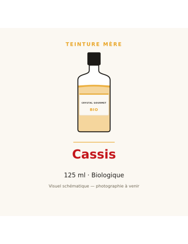 Teinture mère de Cassis bio 125 ml - Ribes nigrum
