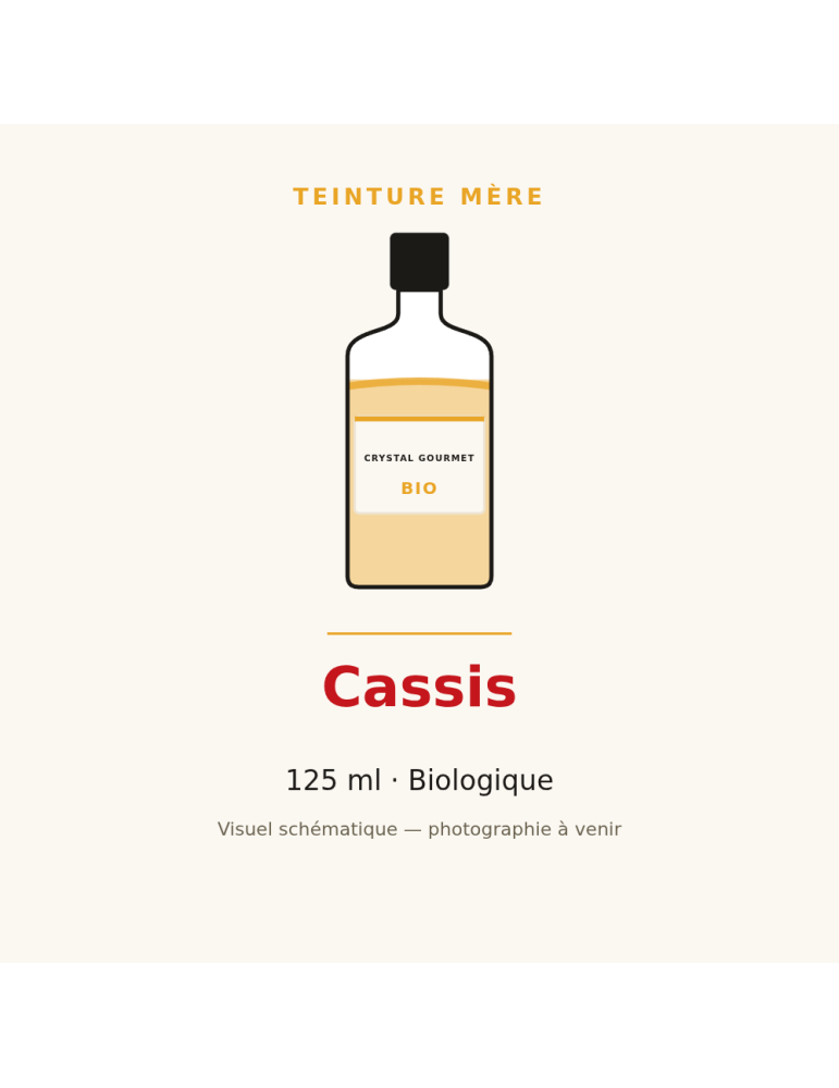 Teinture mère de Cassis bio 125 ml - Ribes nigrum