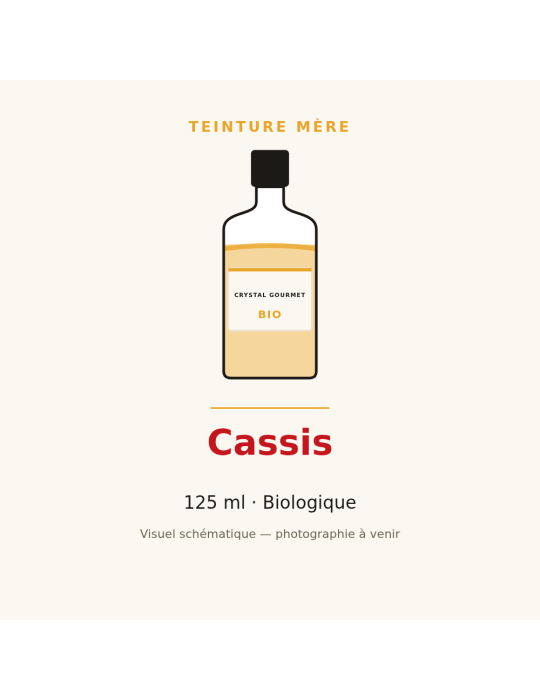 Teinture mère de Cassis bio 125 ml - Ribes nigrum