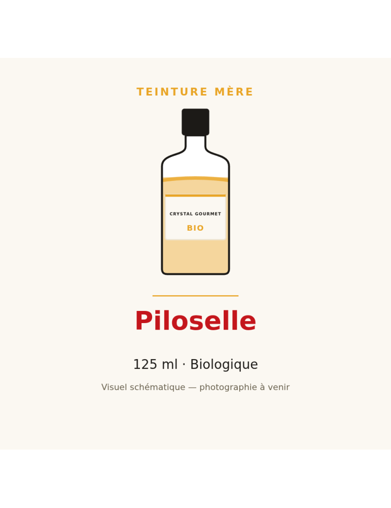 Teinture mère de Piloselle bio 125 ml - Hieracium pilosella