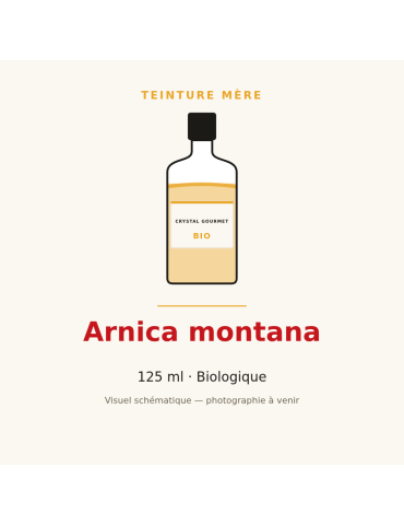 Teinture mère d'Arnica montana bio 125 ml - Arnica montana