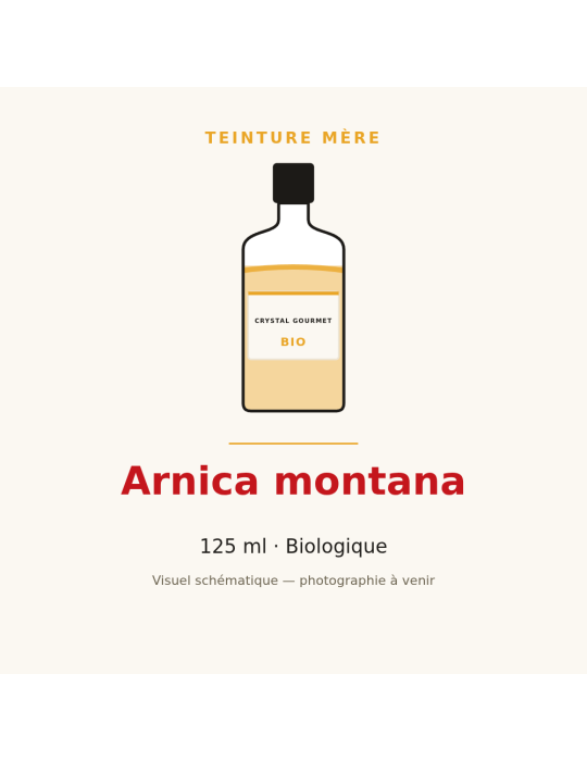 Teinture mère d'Arnica montana bio 125 ml - Arnica montana