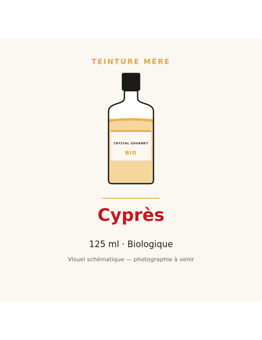 Teinture mère de Cyprès bio 125 ml - Cupressus sempervirens