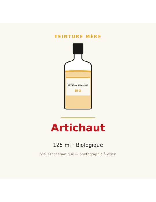 Teinture mère d'Artichaut bio 125 ml - Cynara cardunculus