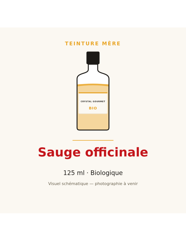 Teinture mère de Sauge officinale bio 125 ml - Salvia officinalis