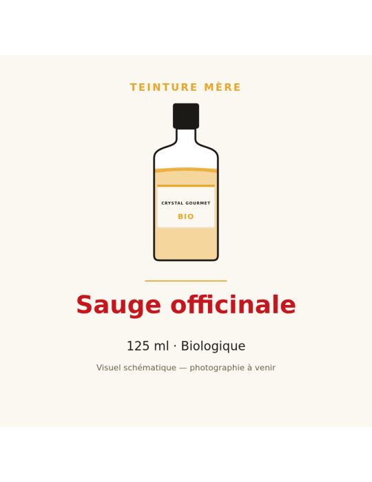 Teinture mère de Sauge officinale bio 125 ml - Salvia officinalis