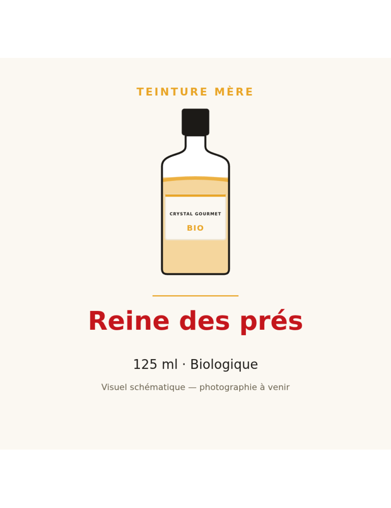 Teinture mère de Reine des prés bio 125 ml - Filipendula ulmaria