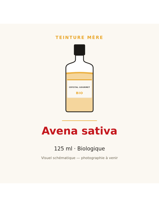 Teinture mère d'Avena sativa bio 125 ml - Avena sativa