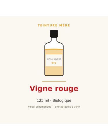 Teinture mère de Vigne rouge bio 125 ml - Vitis vinifera