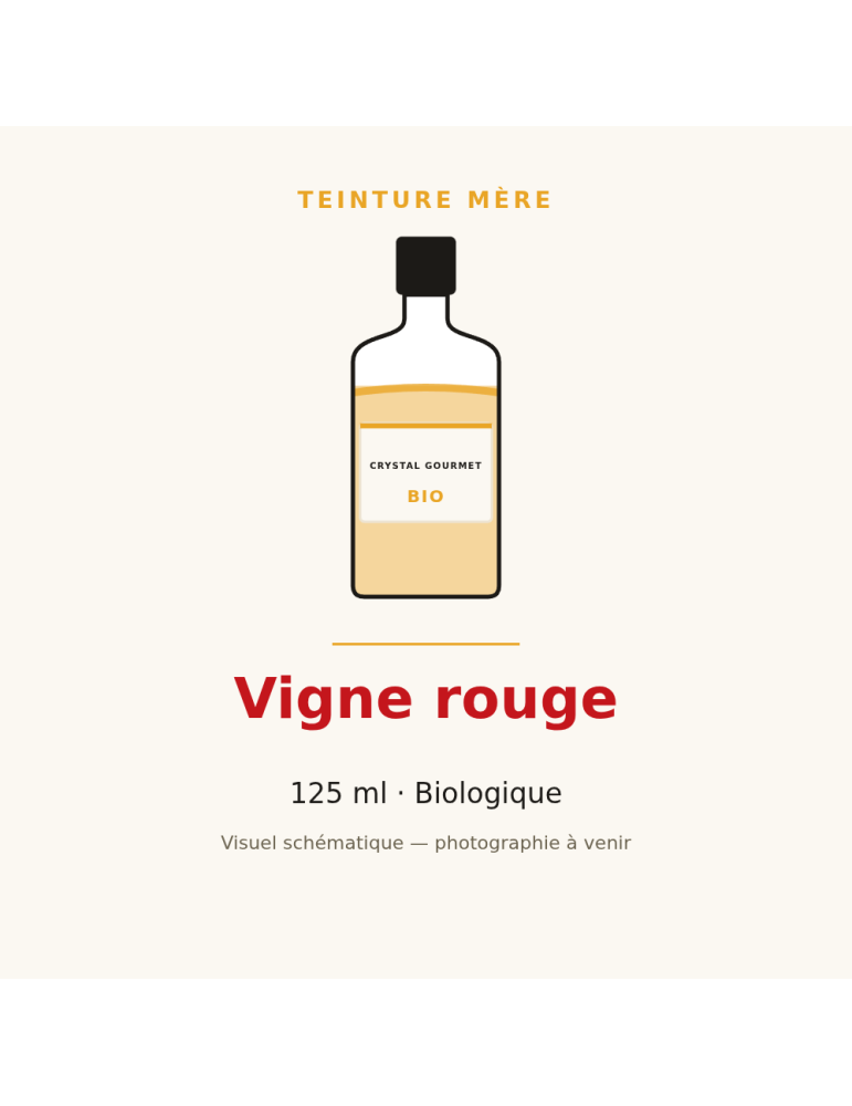 Teinture mère de Vigne rouge bio 125 ml - Vitis vinifera