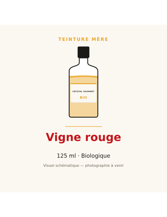Teinture mère de Vigne rouge bio 125 ml - Vitis vinifera