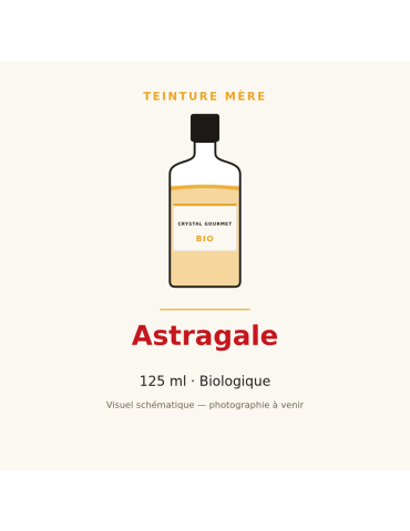 Teinture mère d'Astragale bio 125 ml - Astragalus membranaceus