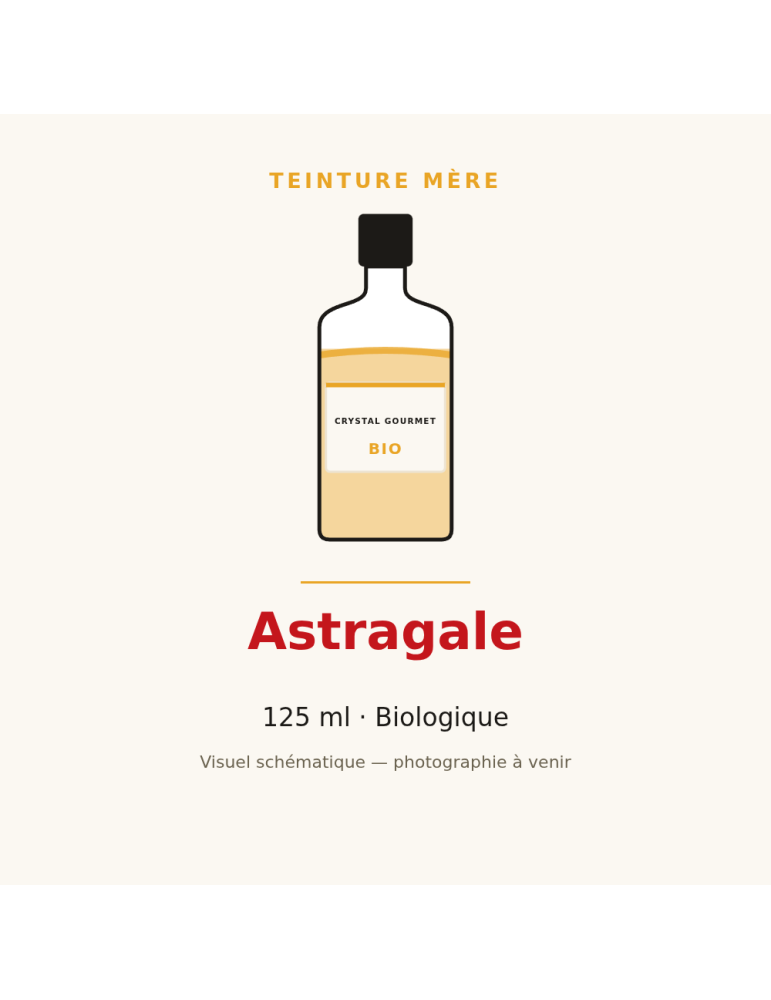 Teinture mère d'Astragale bio 125 ml - Astragalus membranaceus