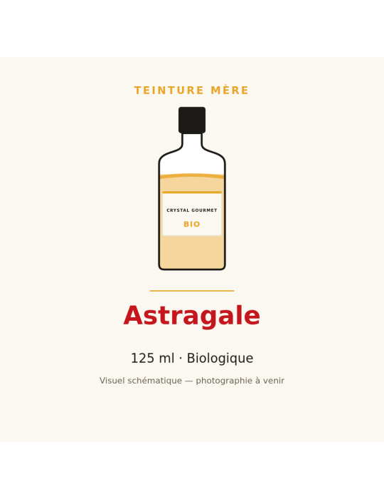 Teinture mère d'Astragale bio 125 ml - Astragalus membranaceus