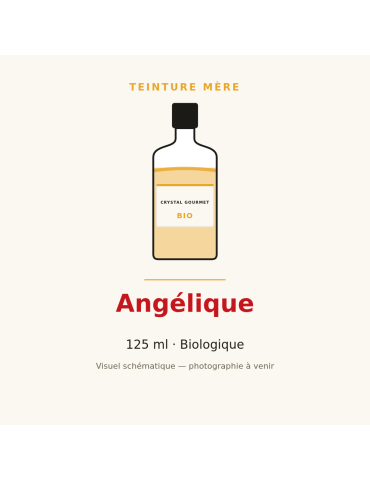 Teinture mère d'Angélique bio 125 ml - Angelica archangelica
