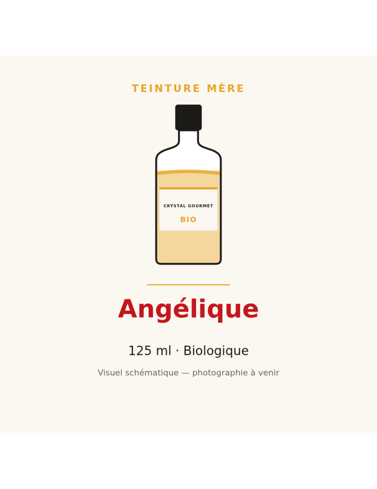 Teinture mère d'Angélique bio 125 ml - Angelica archangelica