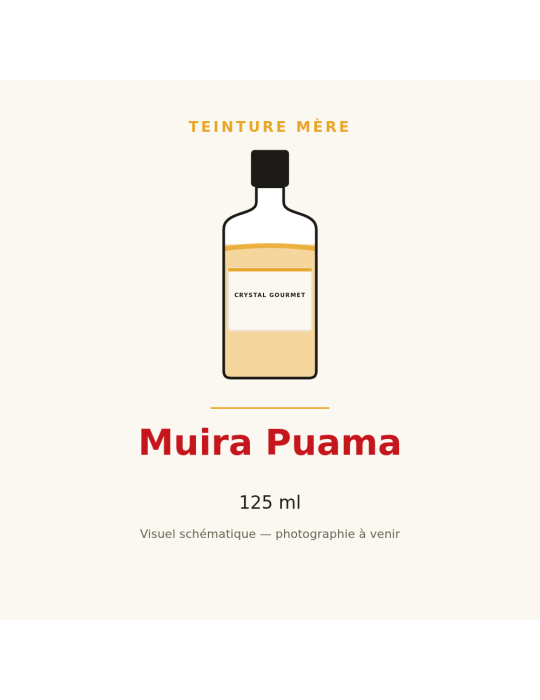 Teinture mère de Muira Puama 125 ml - Ptychopetalum olacoides