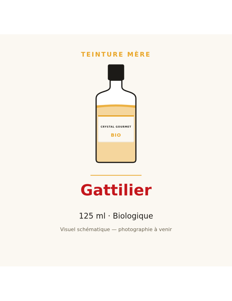 Teinture mère de Gattilier bio 125 ml - Vitex agnus-castus