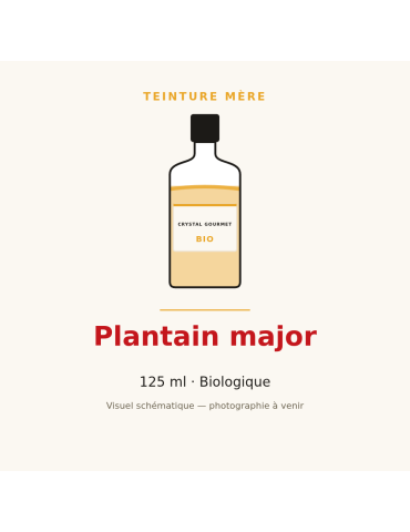 Teinture mère de Plantain major bio 125 ml - Plantago major