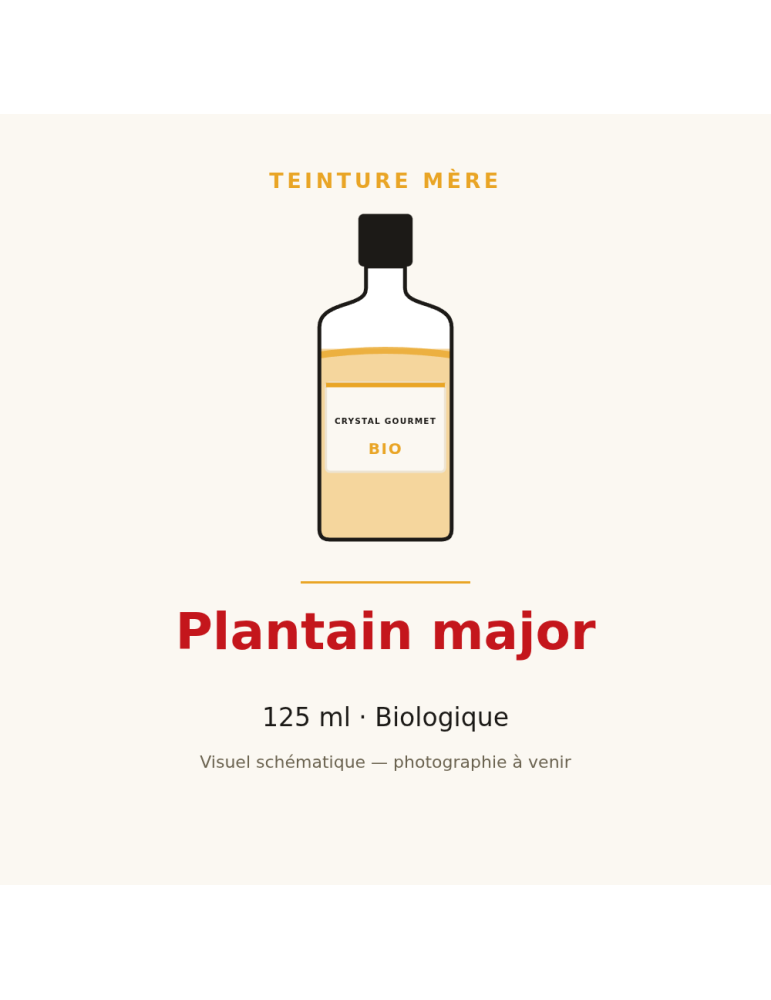 Teinture mère de Plantain major bio 125 ml - Plantago major