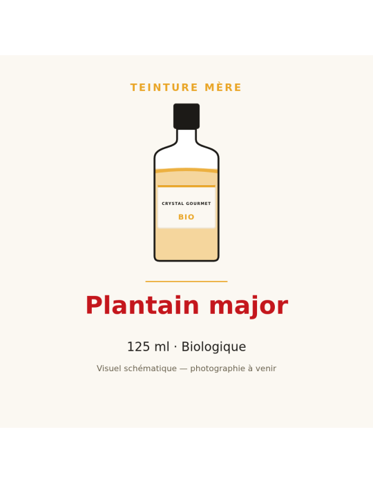 Teinture mère de Plantain major bio 125 ml - Plantago major