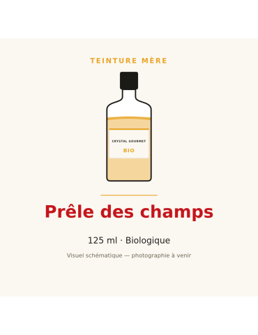 Teinture mère de Prêle des champs bio 125 ml - Equisetum arvense