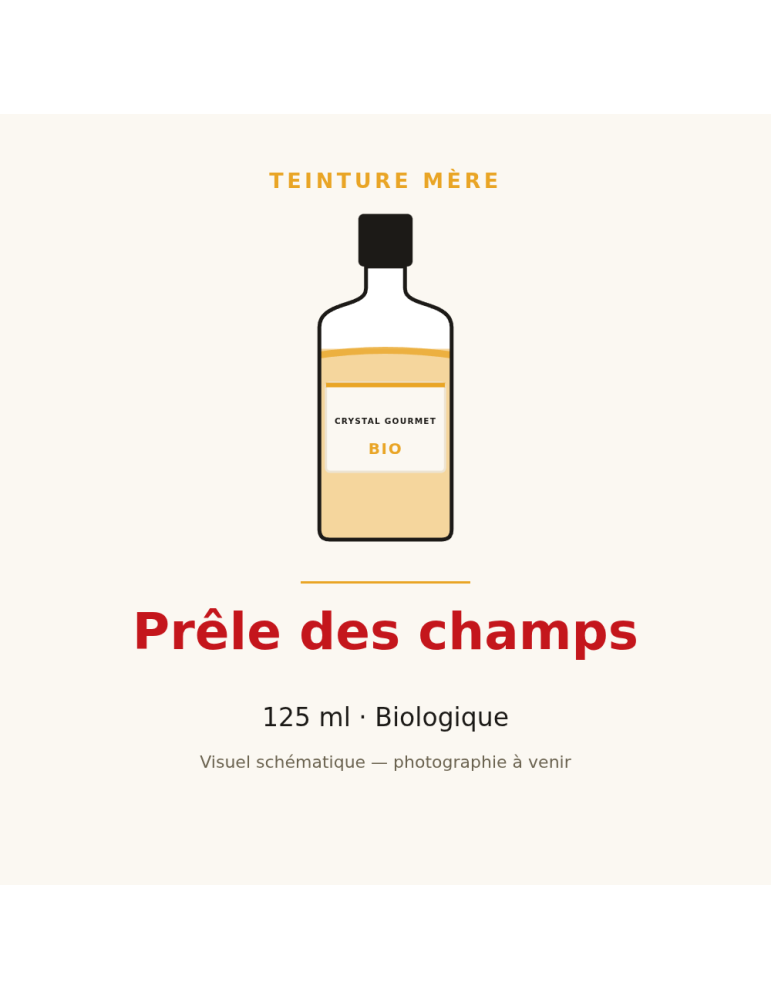 Teinture mère de Prêle des champs bio 125 ml - Equisetum arvense