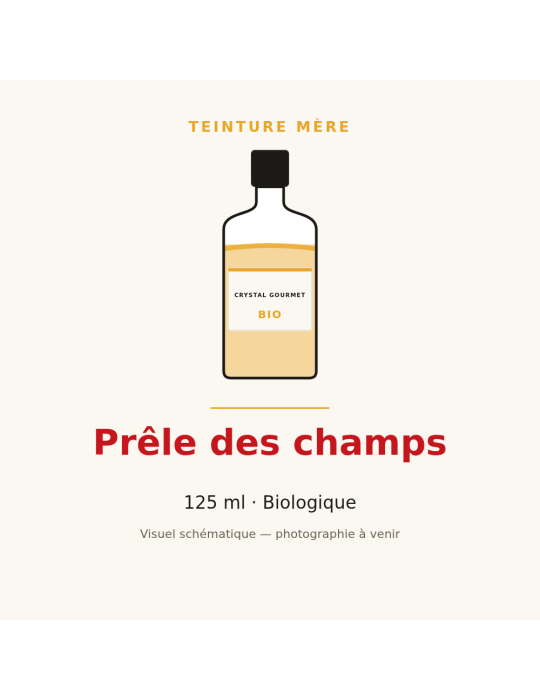 Teinture mère de Prêle des champs bio 125 ml - Equisetum arvense