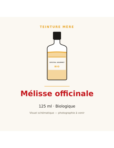 Teinture mère de Mélisse officinale bio 125 ml - Melissa officinalis
