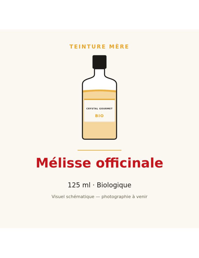 Teinture mère de Mélisse officinale bio 125 ml - Melissa officinalis
