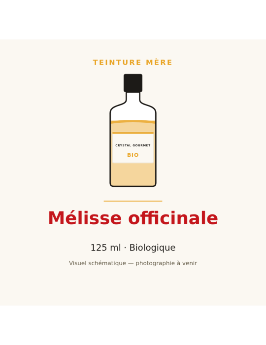 Teinture mère de Mélisse officinale bio 125 ml - Melissa officinalis