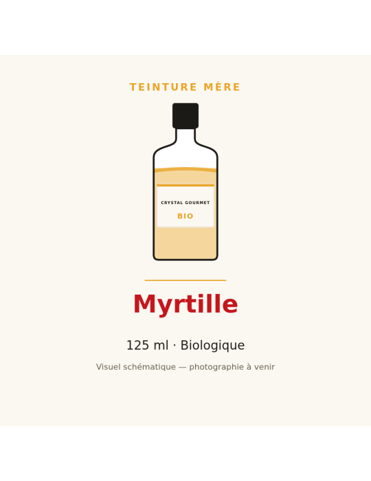 Teinture mère de Myrtille bio 125 ml - Vaccinium myrtillus