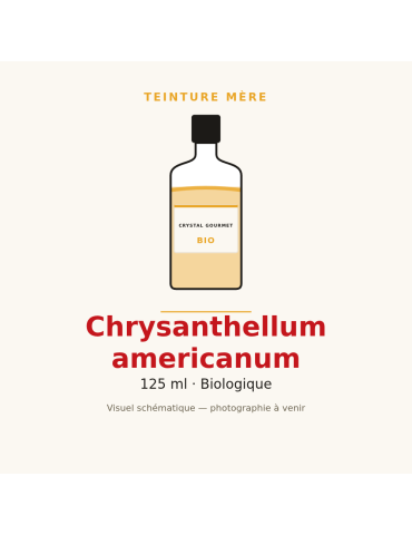 Teinture mère de Chrysanthellum americanum bio 125 ml