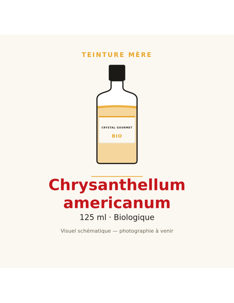 Teinture mère de Chrysanthellum americanum bio 125 ml