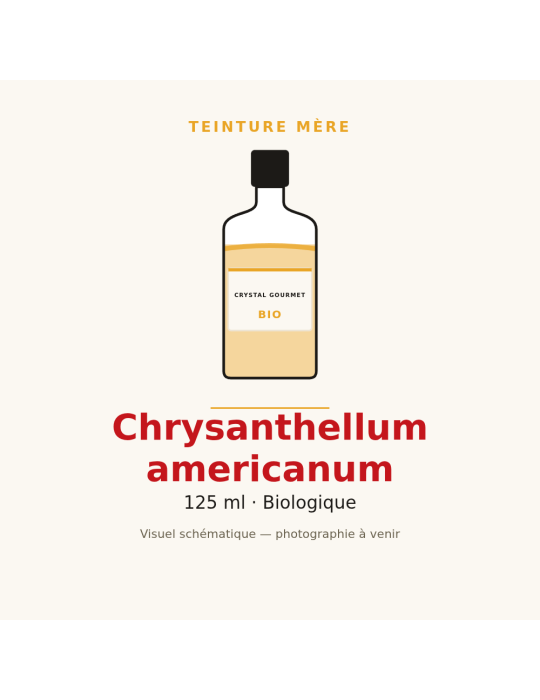 Teinture mère de Chrysanthellum americanum bio 125 ml