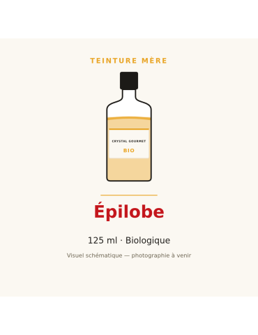 Teinture mère d'Épilobe bio (Epilobium parviflorum) - 125 ml